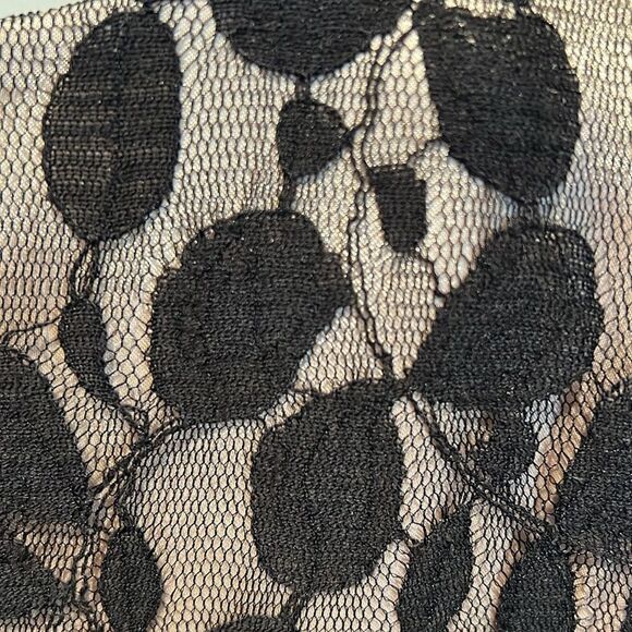 Jones New York Black/ Nude Lace‎ Sleeveless Empire Waist  Dress Sz 12 Nwt - Picture 5 of 14